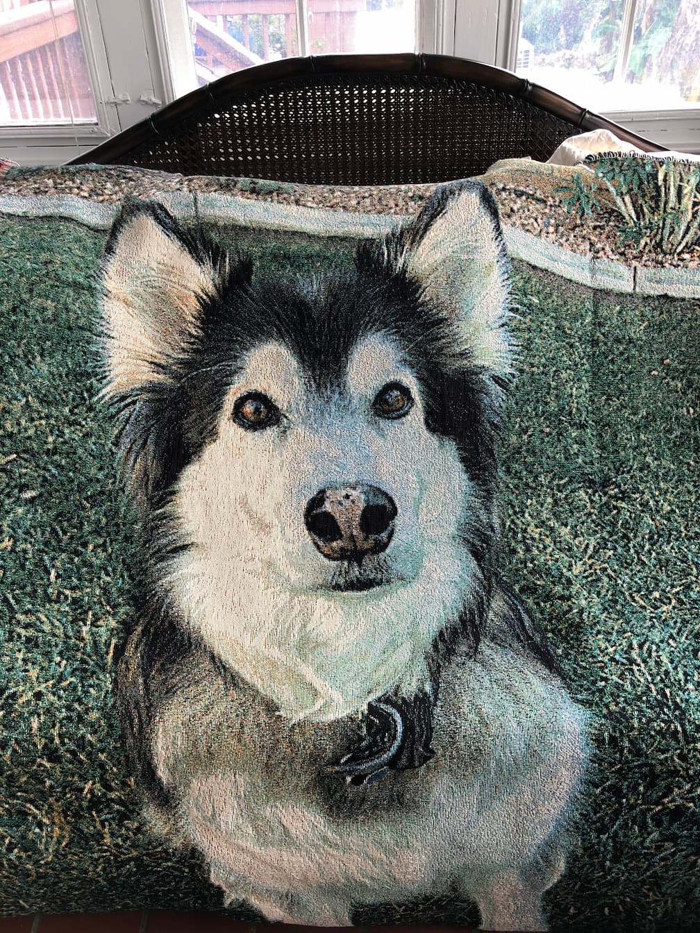 Custom Pet Portrait Woven Blanket - Personalized Cotton Throw for Pet Photos